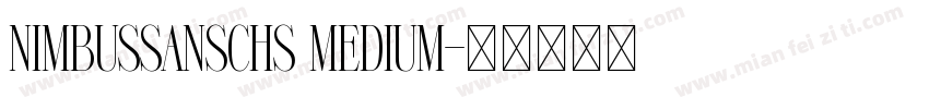 NimbusSansCHS Medium字体转换